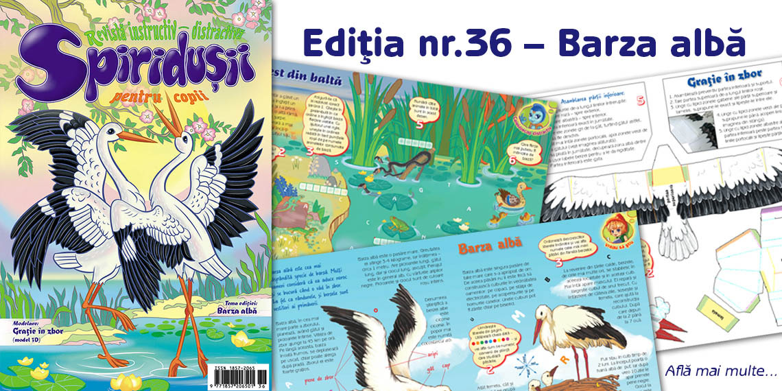 Ediţia nr. 36 – Barza albă