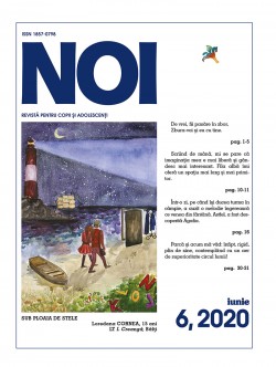 NOI, nr,6, 2020