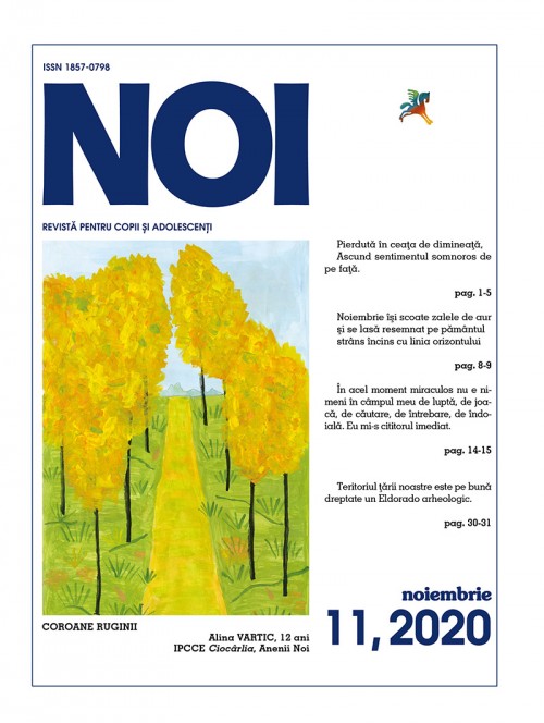 NOI, nr.11, 2020